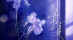 燒腦會沉浸式劇本殺-苦夏